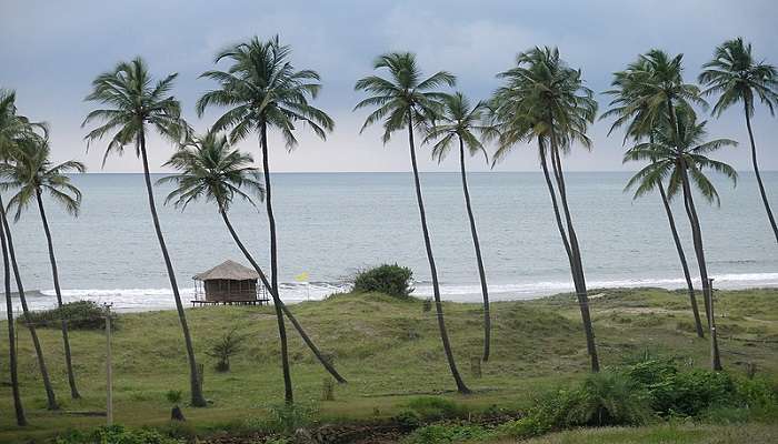 Visit Mandrem Beach, one of the best places to visit near Ashwem Beach