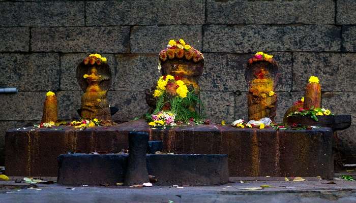 Statues of Lord Nagaraja in a temple near Haripad