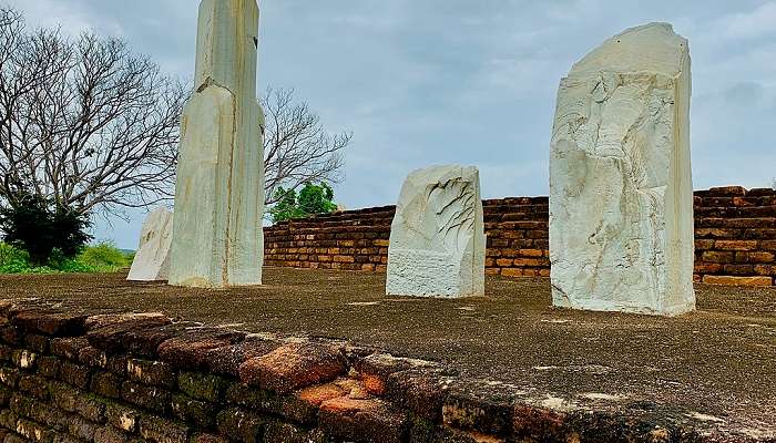 Know the cultural heritage while going through the museum in Nagarjuna Konda Island.