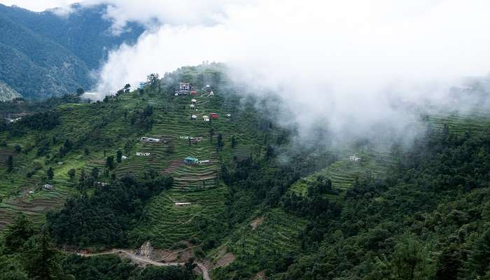 Captivating natural views of Dehradun in Winter 