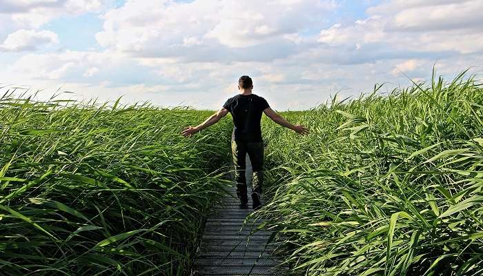 Nature Walk at Kumarakom Bird Sanctuary, places to visit in July in India
