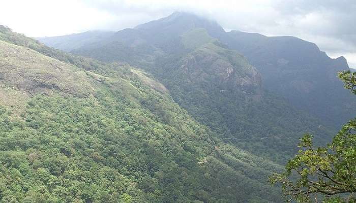 Capturing the essence of Nelliampathi Hills