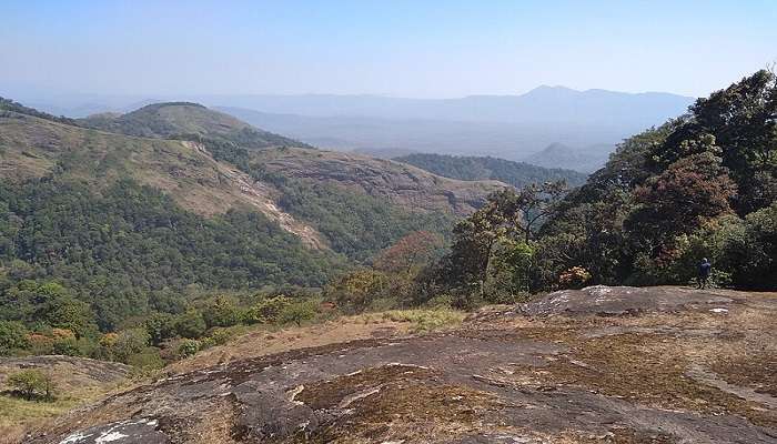 Nelliyampathy Hill Station