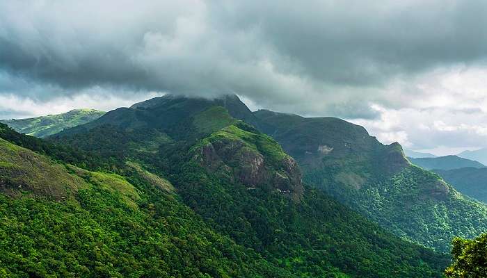 Witness the beauty of Padagiri in Nelliampathi