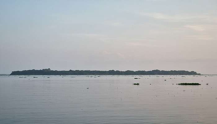 Pathiramanal Island visible from a boat