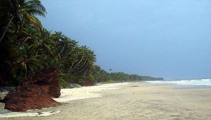 Kizhunna beach luxury resorts to budget-friendly homestays