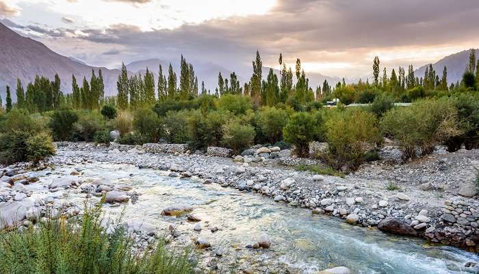 The beautiful Hunder village in the Nubra Valley