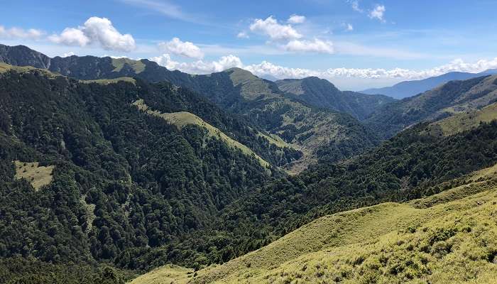 Sangti Valley Green charm