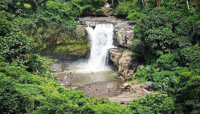 Cascading Tegenungan Waterfall surrounded by trees