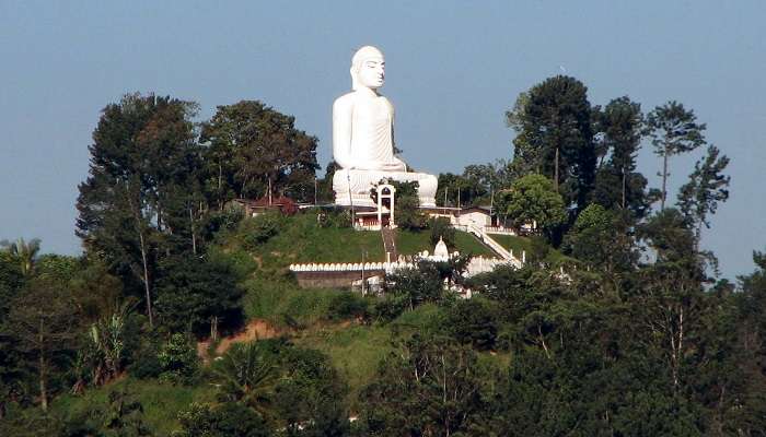 Explorez la Temple Bahirawakanda