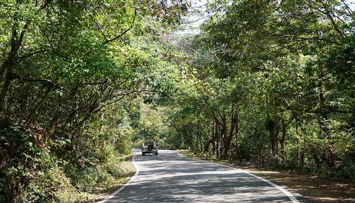 Trail in Idukki Wildlife Sanctuary