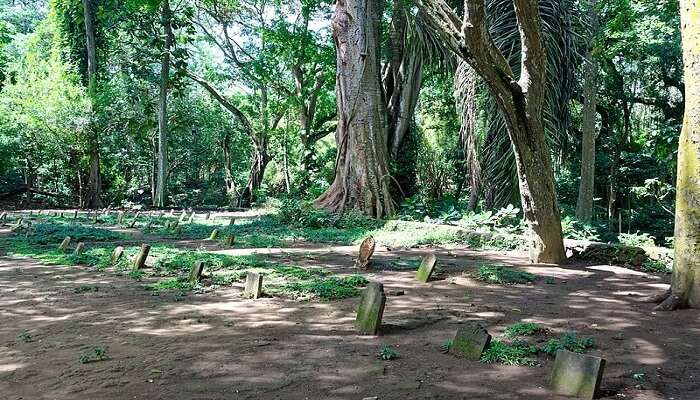 The Monkey Forest Sanctuary near Setia Darma House Of Mask And Puppets