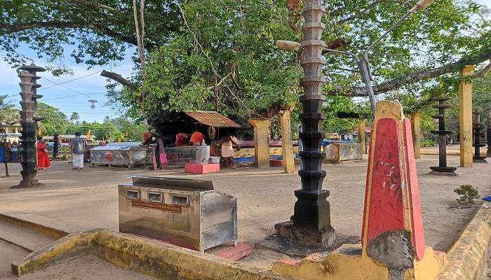 Rich culture of Oachira