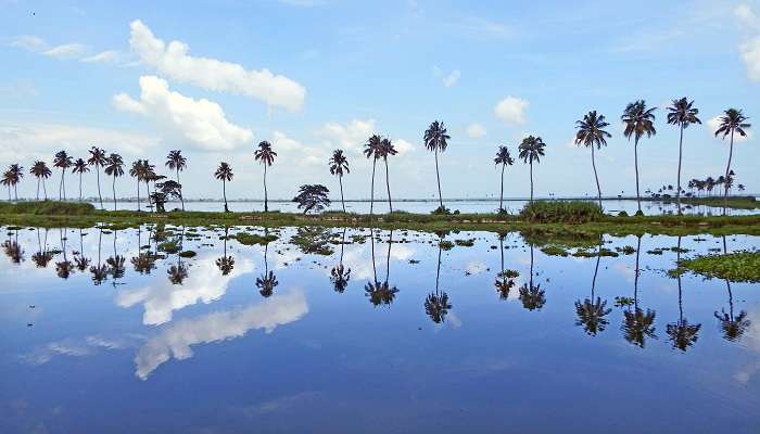 Tourist boat in Vembanad Lake near Aroor