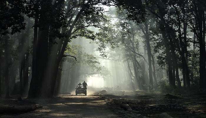 Jim Corbett Near Nainital In winter