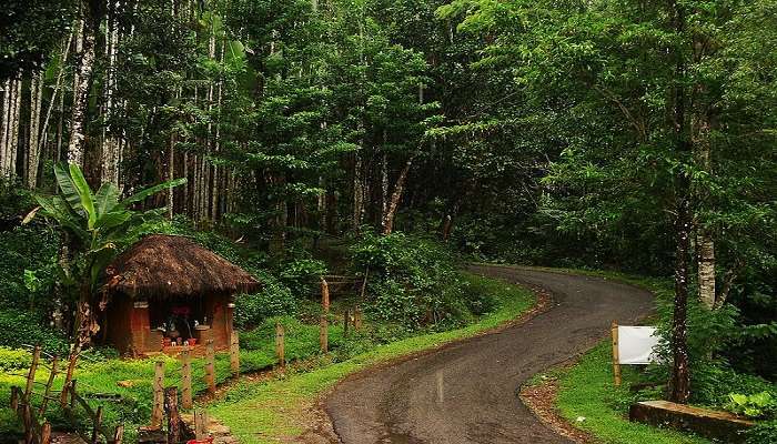 बैंगलोर से सप्ताहांत की सैर में से एक अगुम्बे है