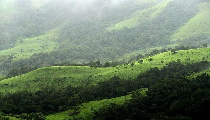 कुद्रेमुख हरियाली से भरपूर और सुरम्य दृश्यों के साथ बैंगलोर के पास सबसे आकर्षक रोमांटिक स्थानों में से एक है