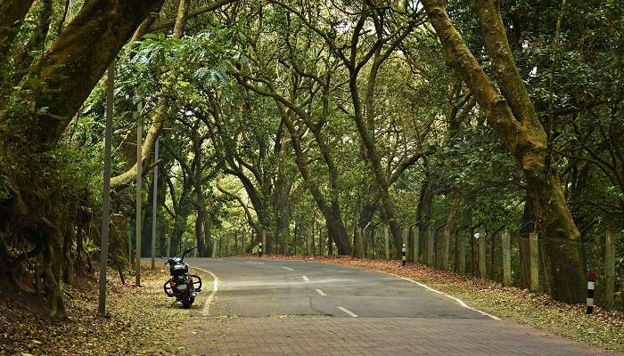 बैंगलोर से सप्ताहांत की सैर में से एक कोयंबटूर है