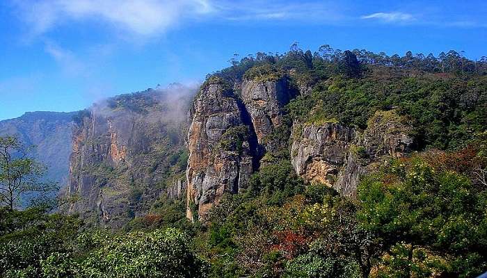 कोडाइकनाल में करने के लिए सबसे अच्छी चीजें में से एक लंबी पैदल यात्रा है