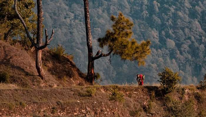 बेलिक्कल बैंगलोर सेसप्ताहांत की सैर में से एक है