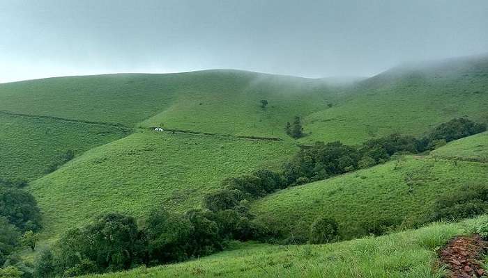 मदिकेरी बैंगलोर से सप्ताहांत की सैर में से एक है