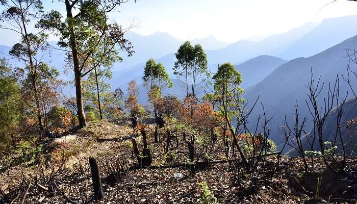 मोइर पॉइंट एक नज़र डालने के लिए सबसे आदर्श स्थान पर स्थित है