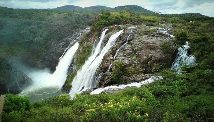 बैंगलोर से सप्ताहांत की सैर में से एक शिवानासमुद्र झरना है