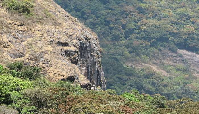 कोडाइकनाल में करने के लिए चीजें में से एक साइलेंट वैली व्यू पॉइंट है