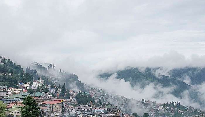 Horse riding at Chowrasta Darjeeling