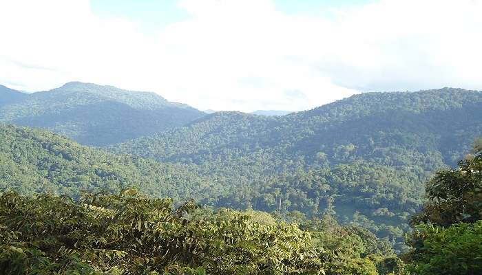 a panoramic view of the Sabarimala, one of the best places to visit in Sabarimala.