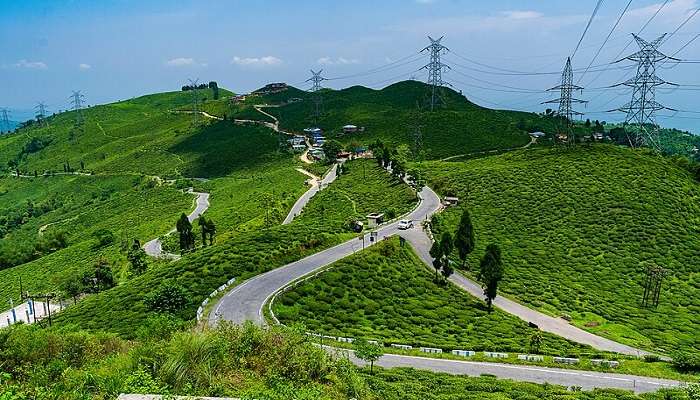 Lush green view from Tingling View Point.