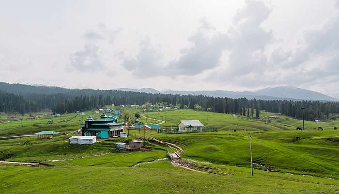 Visit the Yousmarg Kashmir on your vacation.