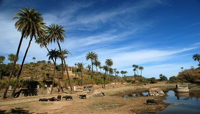 The huge view of the Achalgarh fort shows the imposing structure and surrounding landscape.