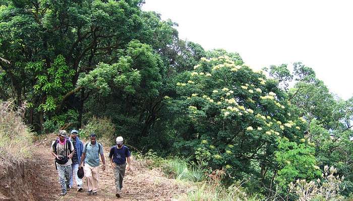 Pakshipathalam Bird Sanctuary