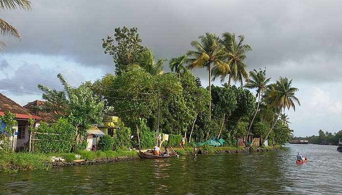 Beautiful beachside in the Alleppey backwaters near Aluva