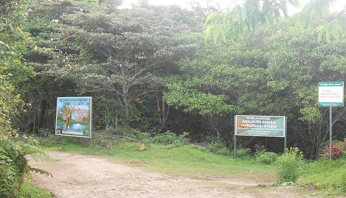 Anamudi Shola National Park is near to Cheeyappara Falls