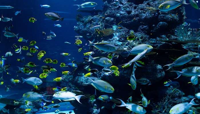 Underwater Pattaya world near Jomtien Beach Thailand