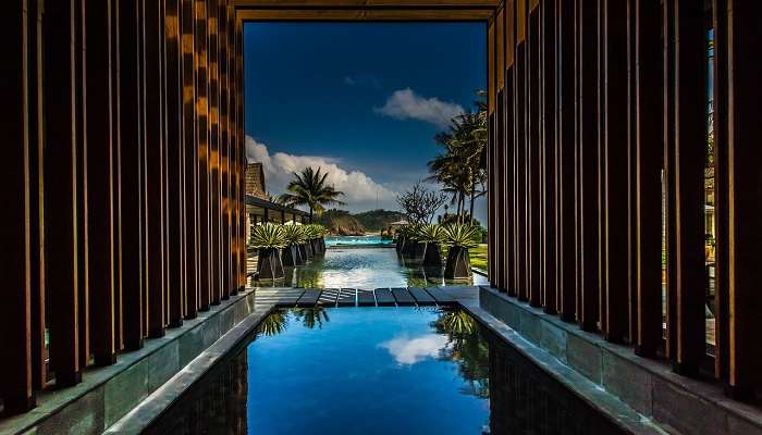 Nature surrounding pool against modern architecture