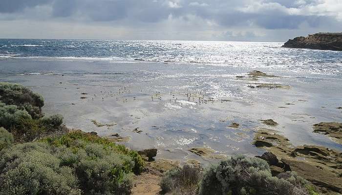 People Relaxing at Warrnambool Beach, Australia