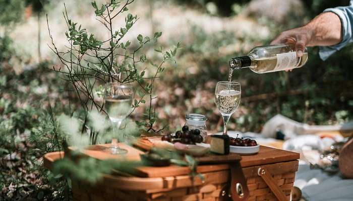 A picnic basket in the park