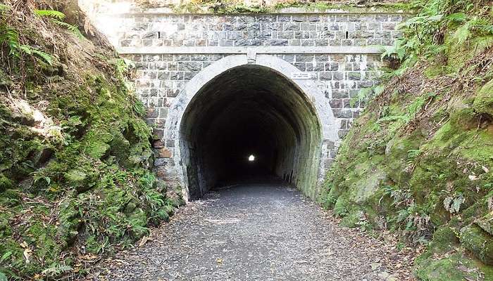 Mangaroa Tunnel in Tunnel Gully