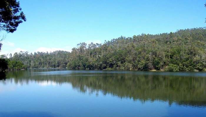 Lush green trees surrounding Berijam Lake