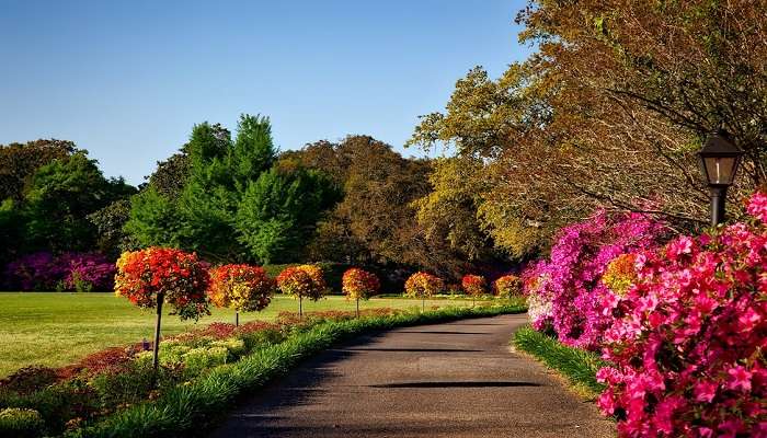 Sprawling greenery of Chaubatia Gardens in Ranikhet. 