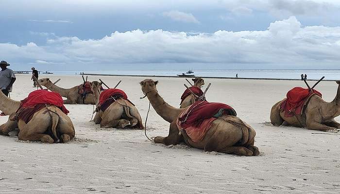 The dry seasons are most optimal to visit Diani Beach