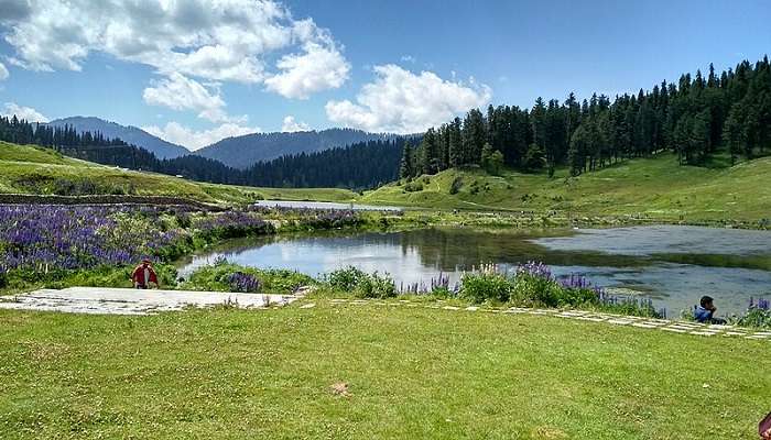 Breathtaking view of Kashmir valley. 