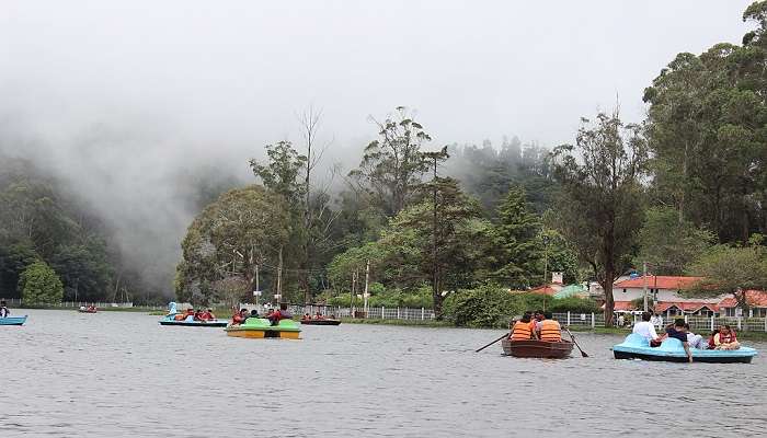 Boating that amidst mist