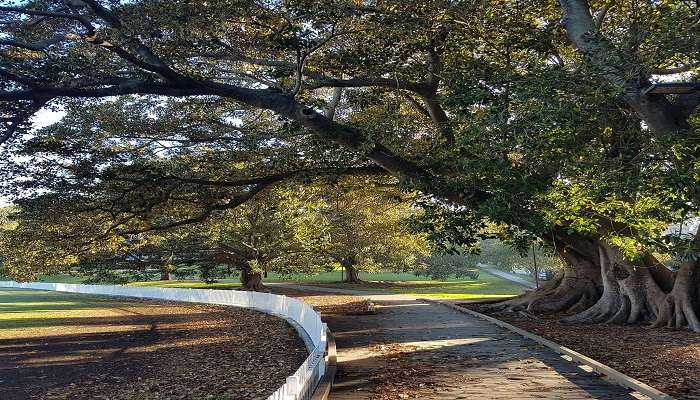 Camperdown Park located in inner west of Sydney