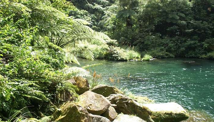 Flowing Plunge waterbody