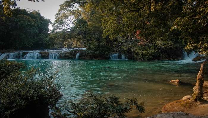 Bhalu Gaad Waterfalls near Chauli Ki Jali In Mukteshwar.