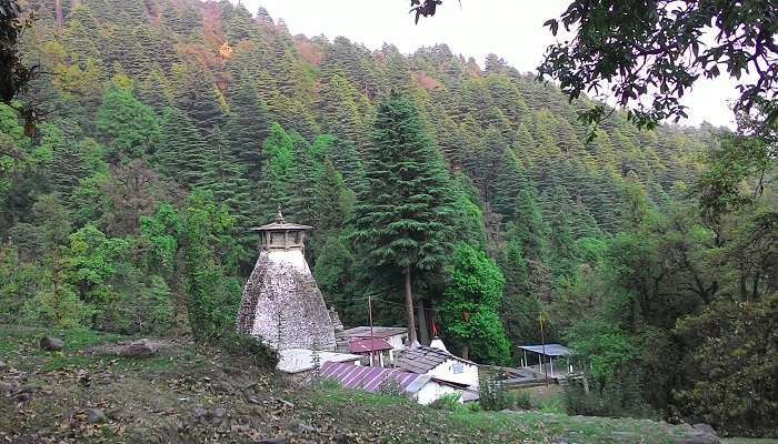 Magnificent Binsar Mahadev